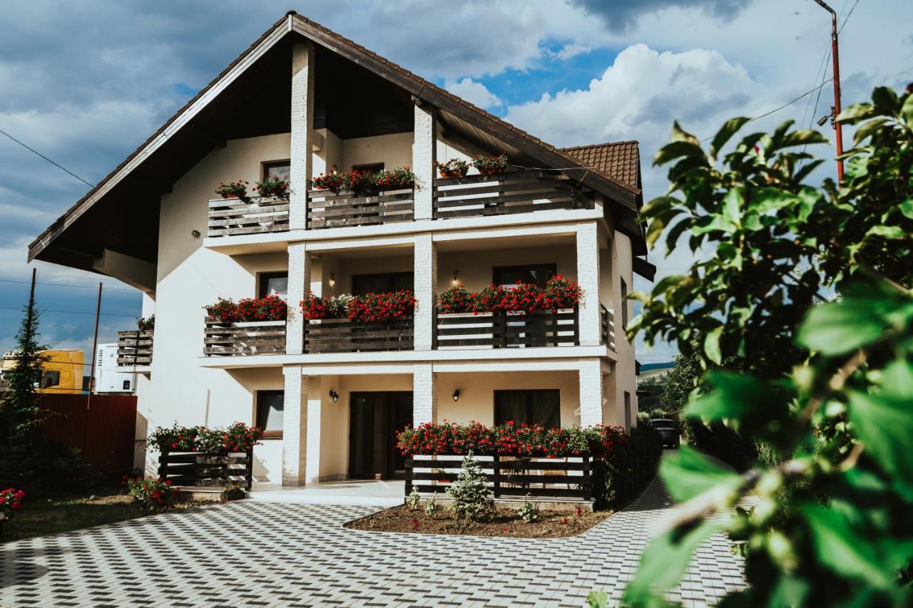 Pensiunea Romana Onesti Bagian luar foto